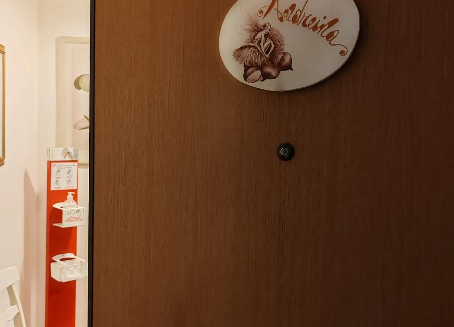 Andreina A San Pietro Apartment 罗马